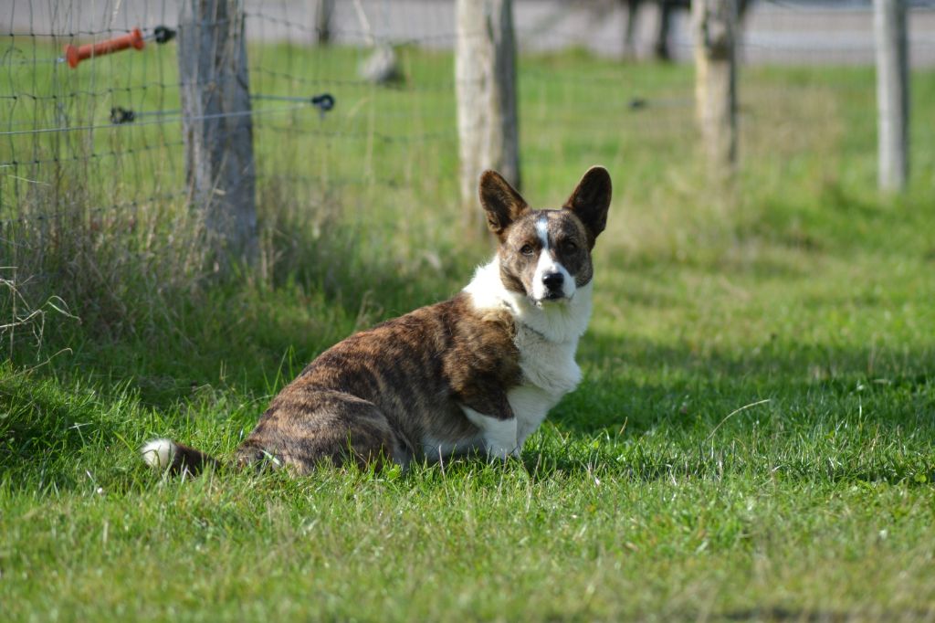 felangry Impressive lady